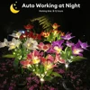 Orchid Rose Solar Lawn Lamp Outdoor Waterproof Flowers Landscape Lamp Solar Charging Decoration Light for Garden Yard Pathway 1