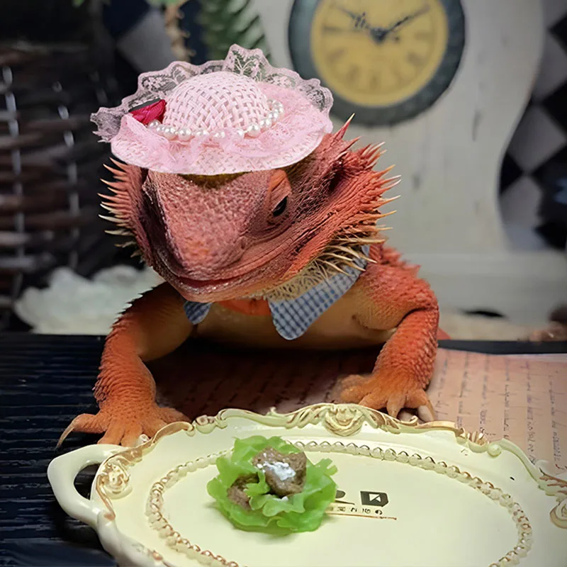 PARKER Miniature pet hats chickens ducks geese birds lizard, golden bears hamsters funny performance props multi-color optional
