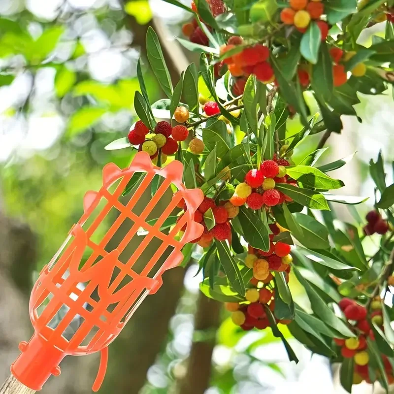 High-Altitude Fruit Picker Tool 5