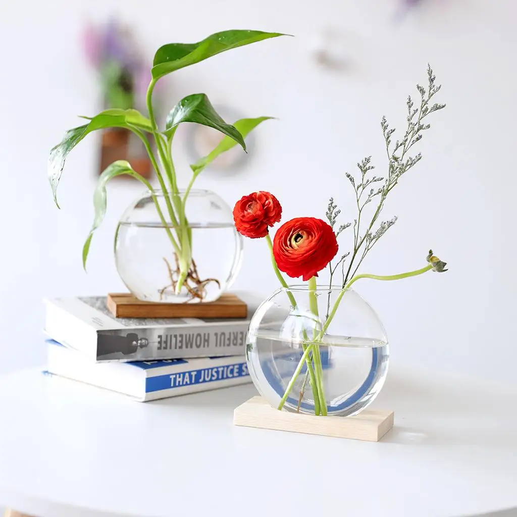 Mini Clear Hydroponic Plants Vase Decorative Planter with Wooden Stand