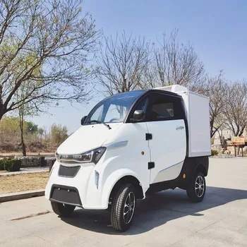 CE 2022 Cheaper Strong Power 60V 2200W Electric Mini Car Cargo Four wheeled Electric Van