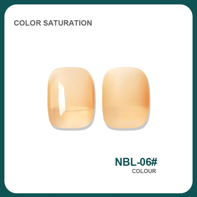 NBL 6