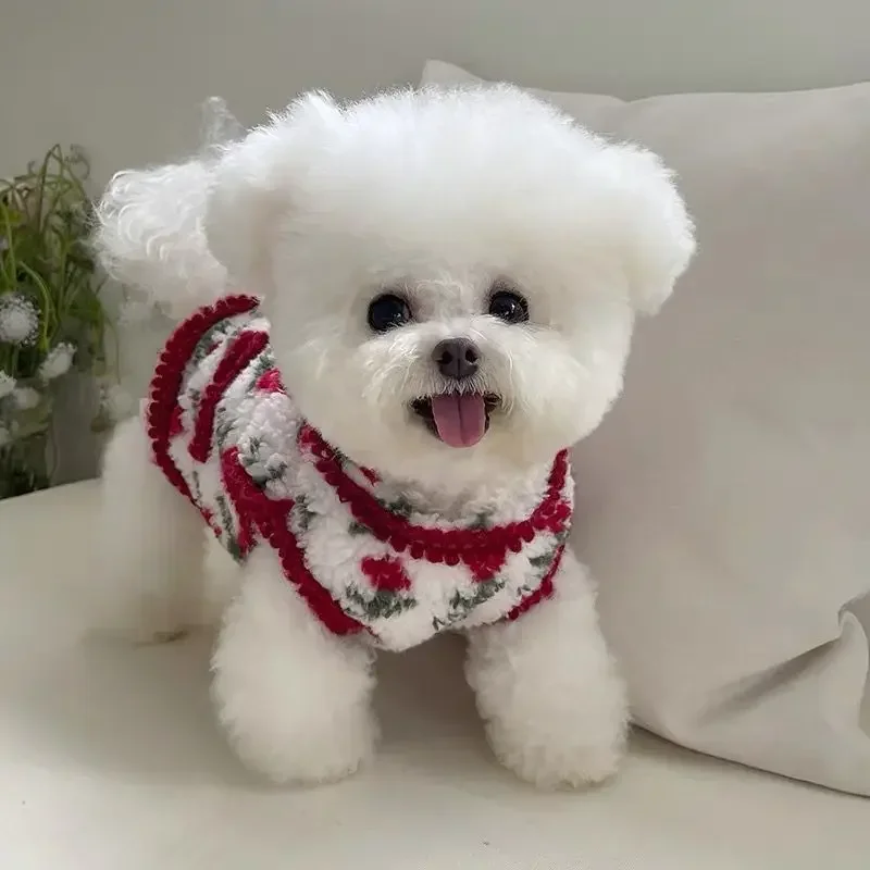Small Dogs Printed Clothes Winter Bichon Frise Teddy Coat Cat Warm Cute Jacket Vest Pet Decorations 강아지 겨울 설빔복 Dog Costume pet jacket