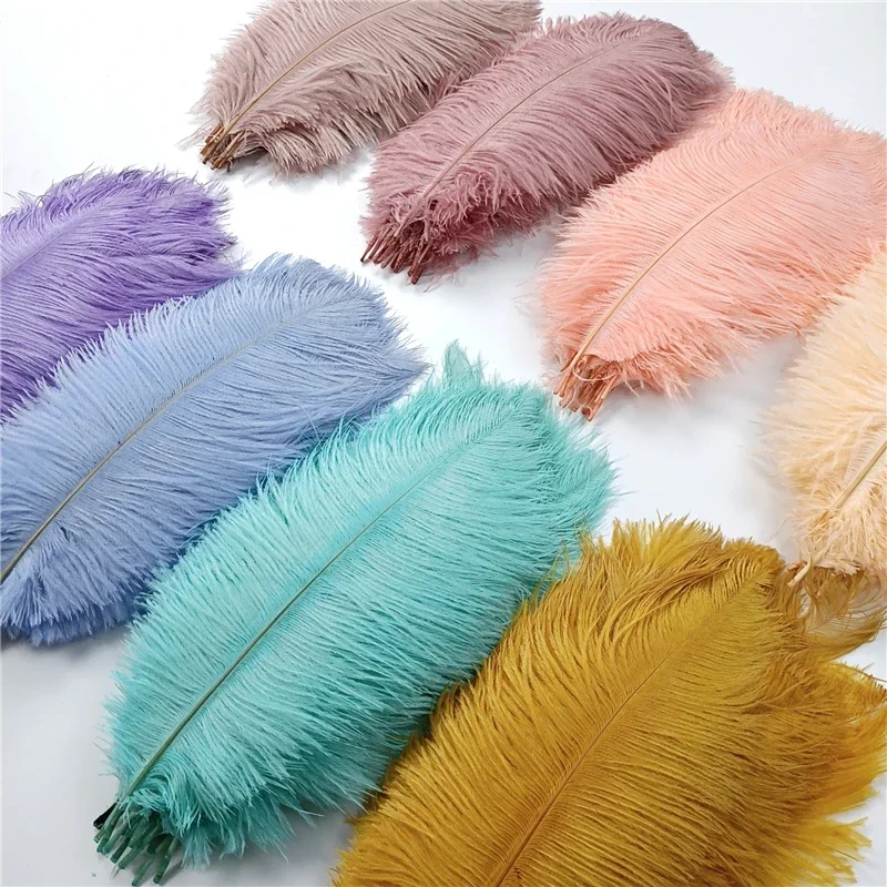 Ostrich Feathers 10Pcs/Lot Colored for Crafts Wedding Decoration Handicraft Accessories