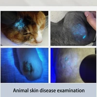 Pet Supplies Wood's Lamp USB Charging Handheld Filter Light Pet Skin Diagnosis Accessories Clinic 3
