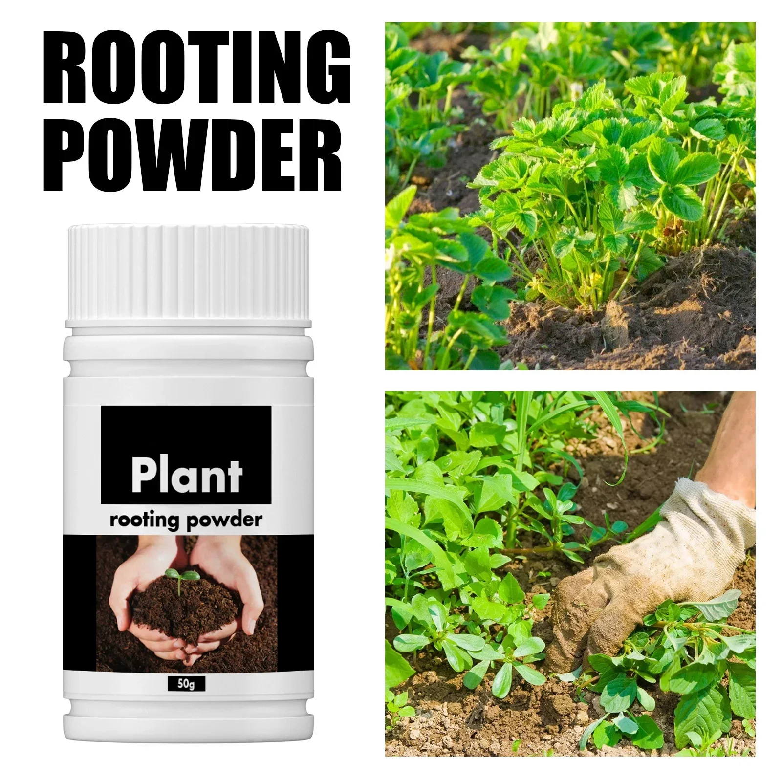 Plant Root Stimulator Rooting Powder for Plants
