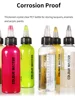DSPIAE MS-B75 PET Model DIY Coloring Special Pointed Paint Bottle 75ml 2