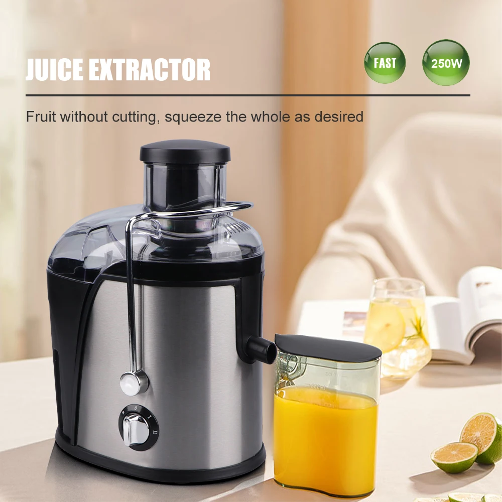 Stainless Steel Fruit Juicer Blender 250w Juicer Extractor For Fruit