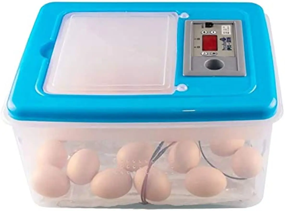 

Chicken Hatcher Box Egg Incubator 32 Eggs Digital Mini Automatic Incubators for Hatching Turkey Goose Quail Ducks