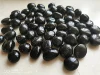 2.2 lb Bulk LARGE Black Tourmaline Tumbled Stone Crystal Healing Tumble Gemstone 3