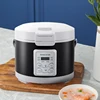 220V Mini Rice Cooker soup Steamer Heating Lunch Box Meal Heater Warmer 3L for Camping Black English Menue  home appliance u 1