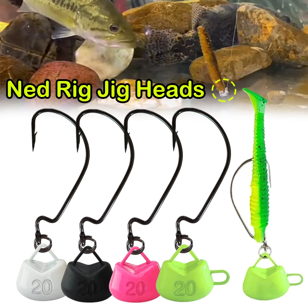 Têtes de jig Ned Rig sans herbe pour pêche au bar et perche - Hameçon à large ouverture pour leurres souples