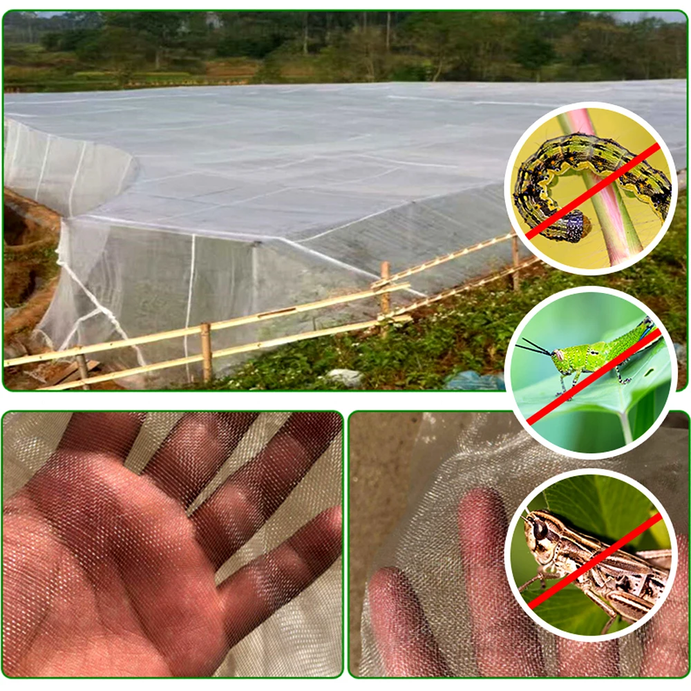 Plants Protection Net Garden Vegetables Insect Control Mesh with Nail Tear Resistance Greenhouse Anti-bird Mesh Fruit Care Cover