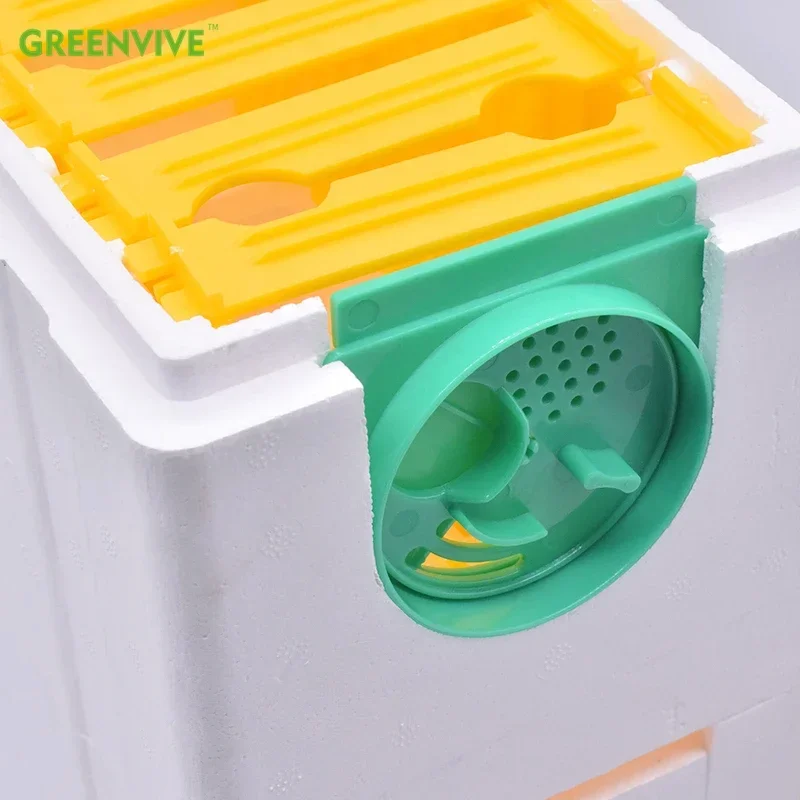 Double Beekeeping King Box Bee Hive Pollination Boxes Harvest Bee Boxes Queen Breeding Tools Nest Case Beekeeping Equipment