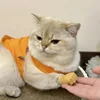Cat Novelty Toys Teasing Cat TPR Soft Finger Gloves Funny Mini Hands Creative Finger Toys Fake Hand Cat Interactive Toys 3