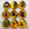 1PC DIY Hand Crafts Gift Insects Amber Gemstone Scorpion Natural And Mineral Stones Home Decoration 3