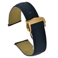 Blue-Gold Buckle
