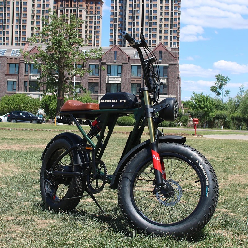 20 Inch Retro Two Wheel Electric Bike Soft Tail Double Snow Absorber Electric Bike Thick Tires 26AH48v1500w Ebike