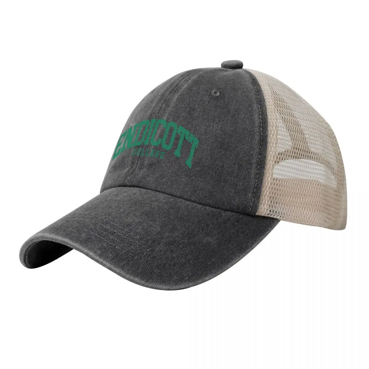 

endicott - college font curved Baseball Cap Wild Ball Hat Golf Hat fashionable Snapback Cap Hats Man Women's