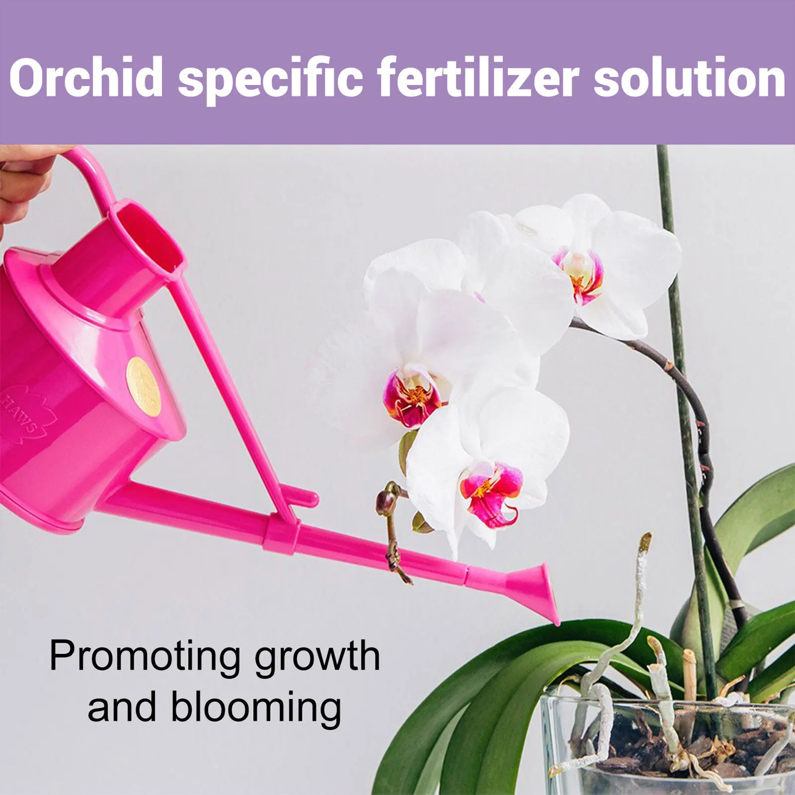 Organic Fertilizer Plant Fertilizing Concentrate Plant Root Stimulator 50ml Rapid Rooting Orchid Flower Foliar Fertilizer Improve Growth Soil Ingredient Safety Nutrition Promote Flowers Fertilizer