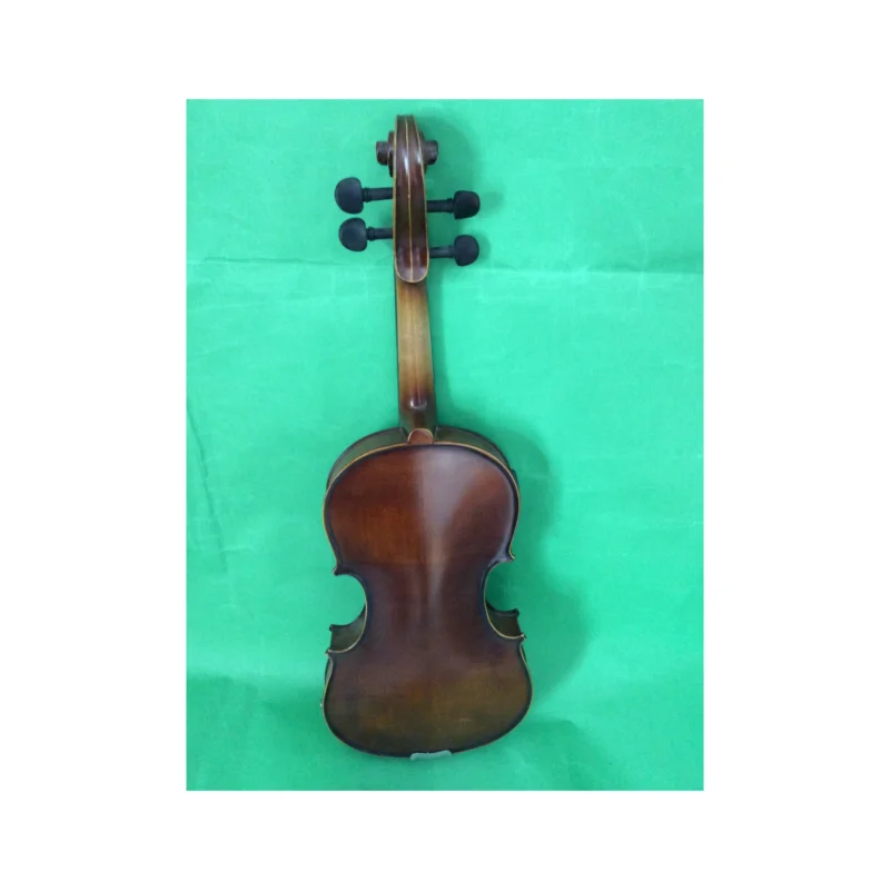Colorful Electric Acoustic Violin, Nice Violin with Case, Bow, Rosin, 4/4