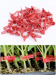 100Pcs durable plastic grafting clamps, garden plant support clamps, round red clamps for gardening vegetables, flowers, shrubs