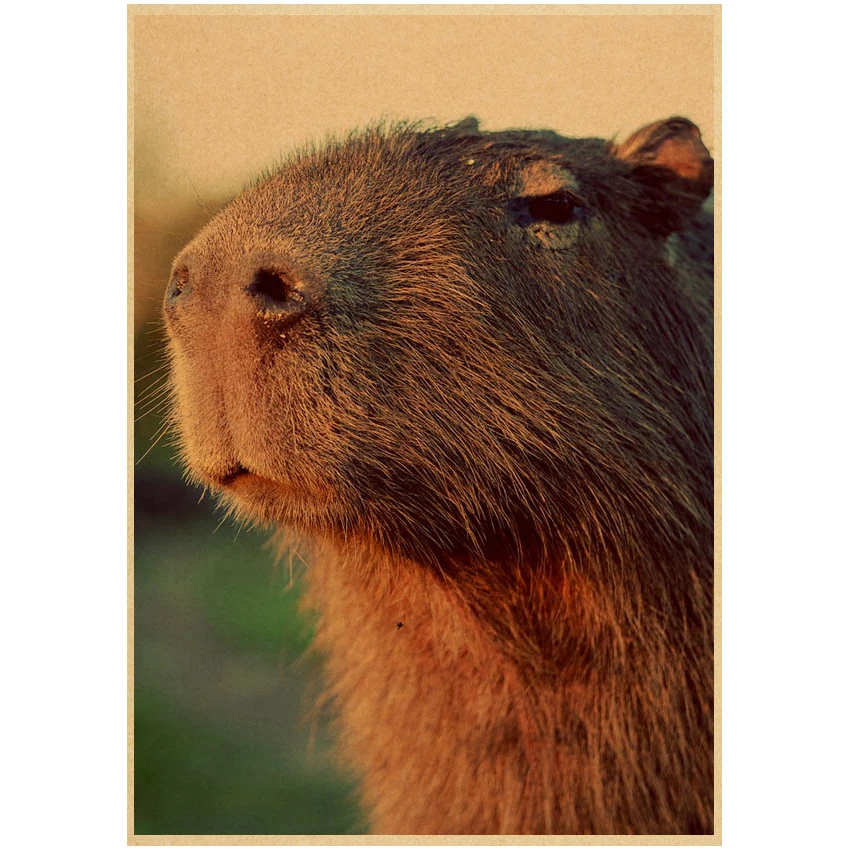 Capybara - Pintura E Caligrafia - AliExpress