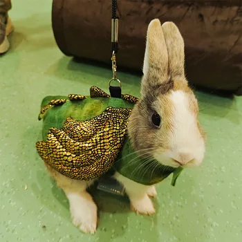 Adjustable Dragon Costume with Leash 1