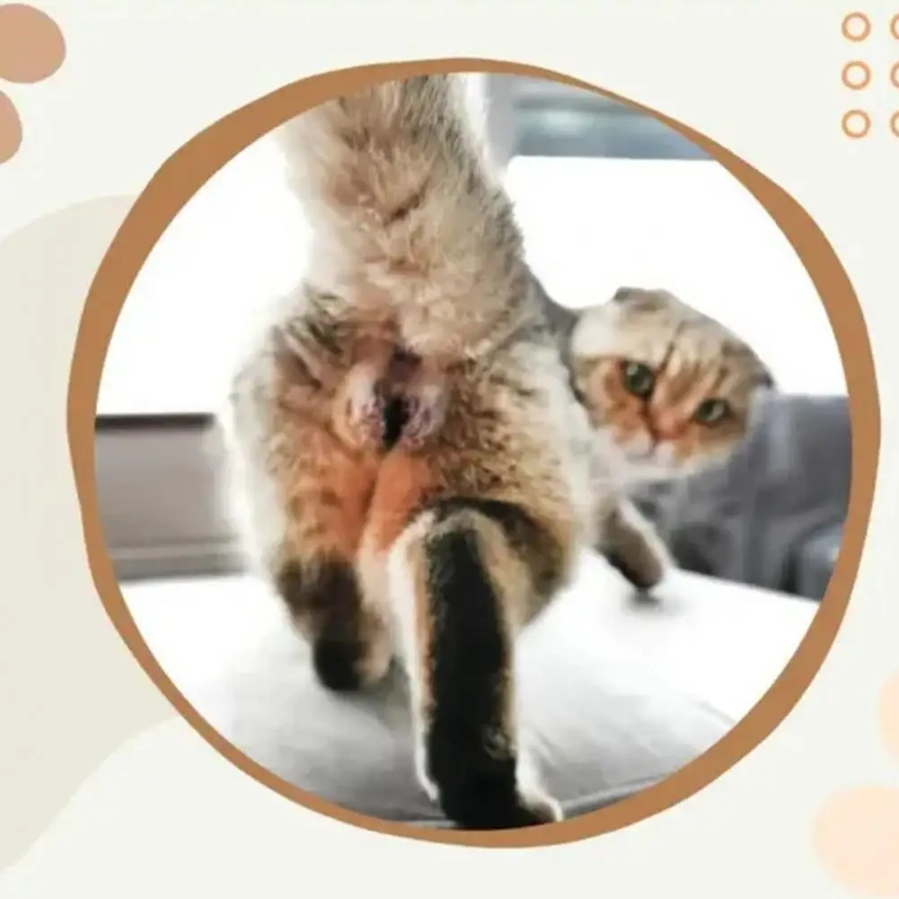 Рисунок 6 - 2024 настенный календарь