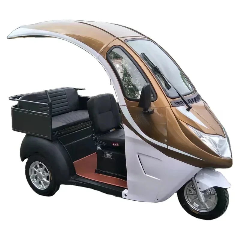 Three Wheel Electric Mini Scooter Tricycle with Roof for Adult Pink Max Black Green Silver Body Motor Acid Power Battery 1
