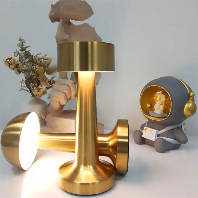 Table Lamp Light Metal Touch Desktop Rechargeable Table Decoration Light 21