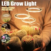 

Led Grow Light Flower Phyto lamp Phytolamp for Plants Seedlings Full Spectrum with Remote UV Home Indoor Phytotape Tent Lights