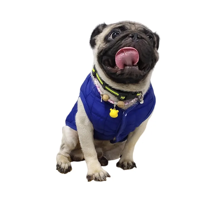 Winter Pet Cotton Jacket Warm Dog Clothes Puppy Coat For Small Medium Dogs Cats Outfit Chihuahua French Bulldog Maltese Clothing view 2