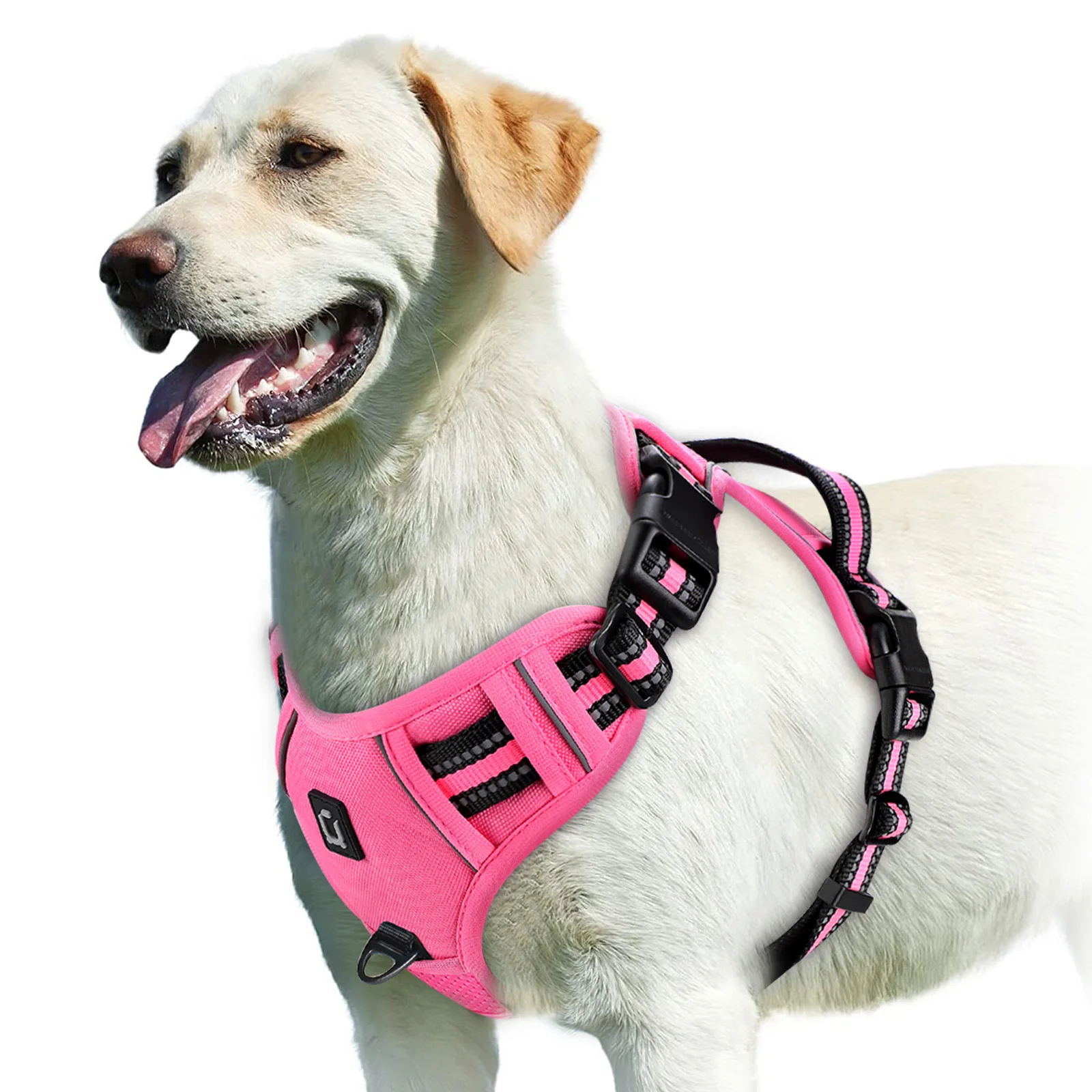Comfort-Fit Adjustable Dog Harness with Control Handle