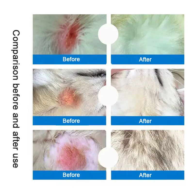 Ringworm On Dog Nose