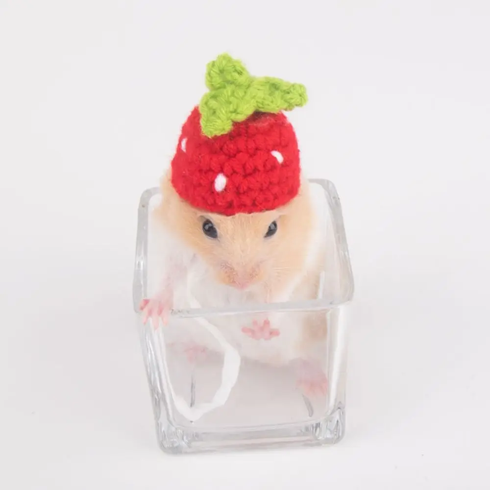 Cartoon Hamster Hat - Handmade Soft Knitted Adjustable Pet Cap