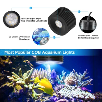 Lominie Asta 20 Saltwater Remote WiFi Control 16W Full Spectrum For Nano Coral Reef Fish Tank 4