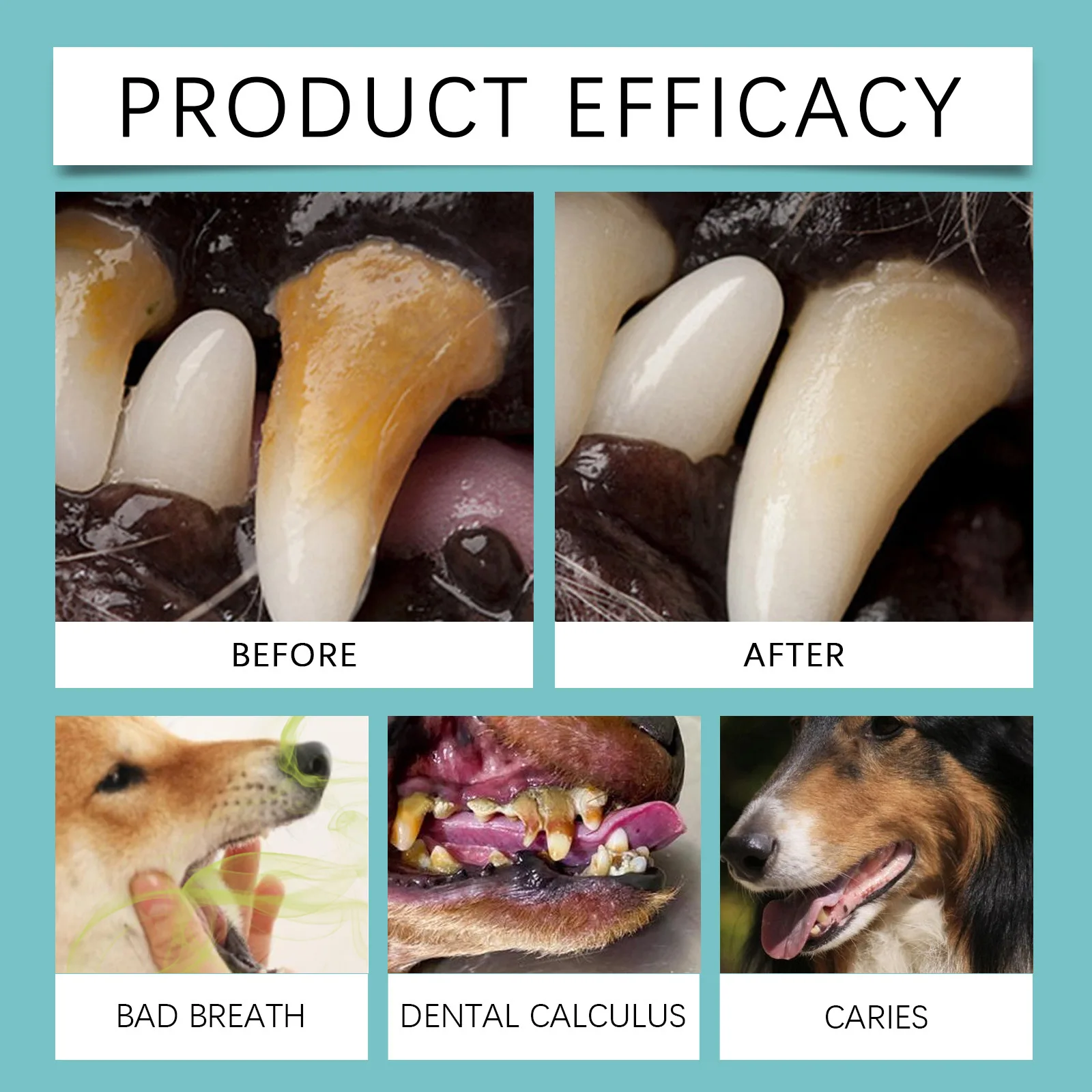 Yegbong Pet Teeth Finger Wipes Tartar Removal Oral Stain Cleaning Tooth Whitening Bad Breath Freshing Dog Toothbrushing Wipes