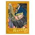 Naruto B