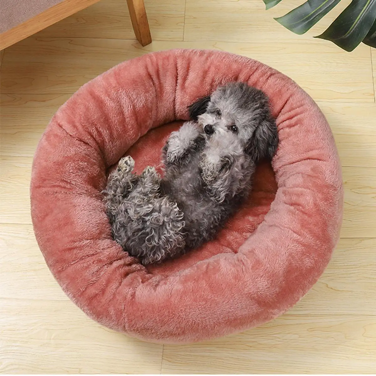 Pet Bed Round 5