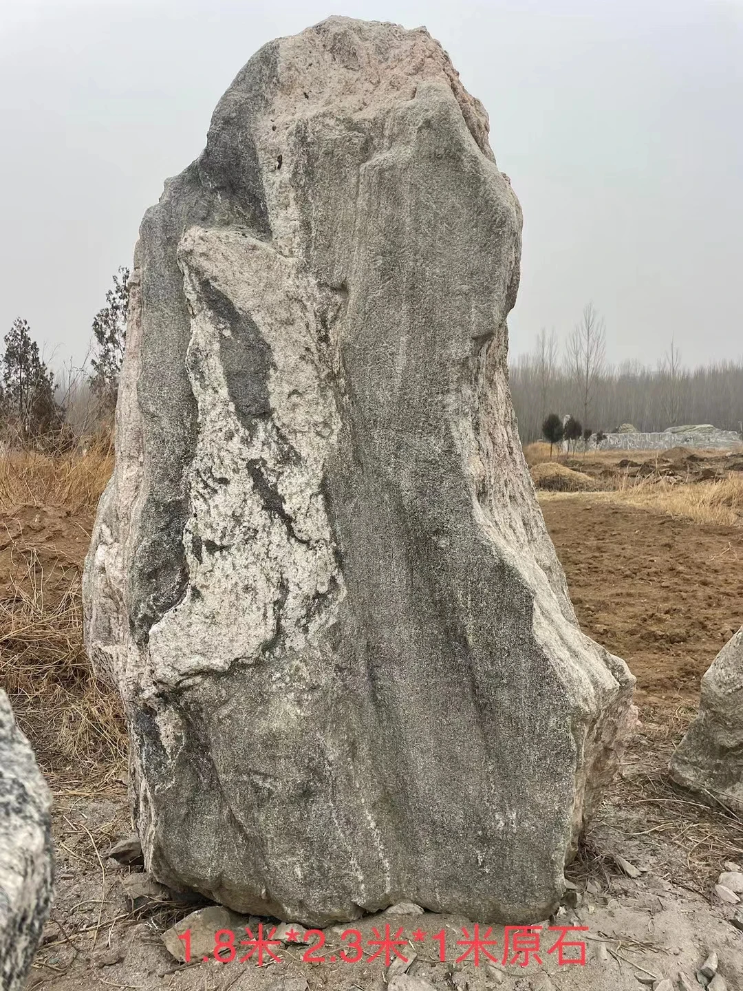 Natural Fengshui Landscape Stone Big Veined Rocks Garden Yard Park Ornament