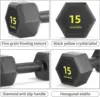 7304-f3deab.jpg 15 lb Dumbbells PVC Encase Coating Free Weight Dumbbell Set for Strength Training Home Gym Fitness and Full Body Workout