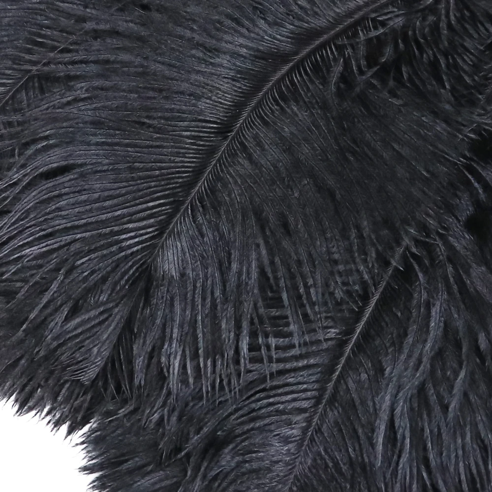 Ostrich Feather 10pcs 5-30CM For Clothing Sewing Wedding Party Home Decor