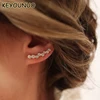 KYOUNUO or argent rempli oreille grimpeur boucles d'oreilles pour femmes Zircon Piercing femmes oreille chenille boucles d'oreilles bijoux en gros