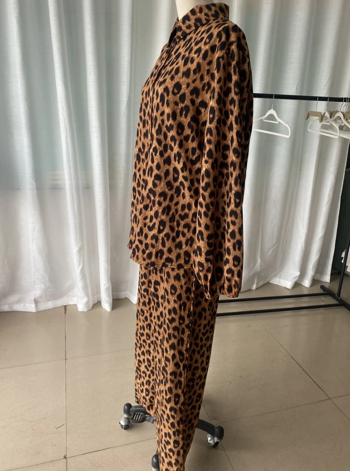 Two-Piece Set for Women 2024 Spring Summer Leopard Print Long Sleeved Shirt High Waisted Straight Leg Pants Casual Style Set
