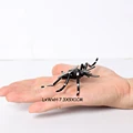 Mosquito
