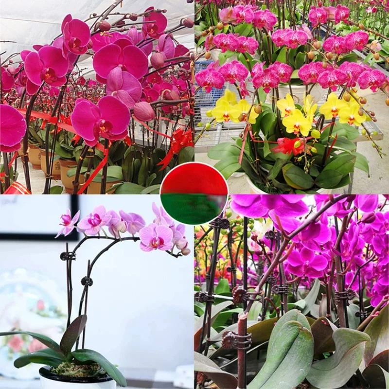 Рисунок 3 - Многофункциональные Садовые принадлежности