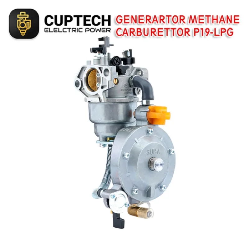 

Gasoline Water Pump Parts ER2500 2KW 168F Engine Dual-Use LPG Manual Carburetor Kit Assembly
