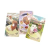 12 x 7CM Capybarot Divination Tarot Deck with Guidebook   Fate Unique Cards Deck English Version Esoterism 4