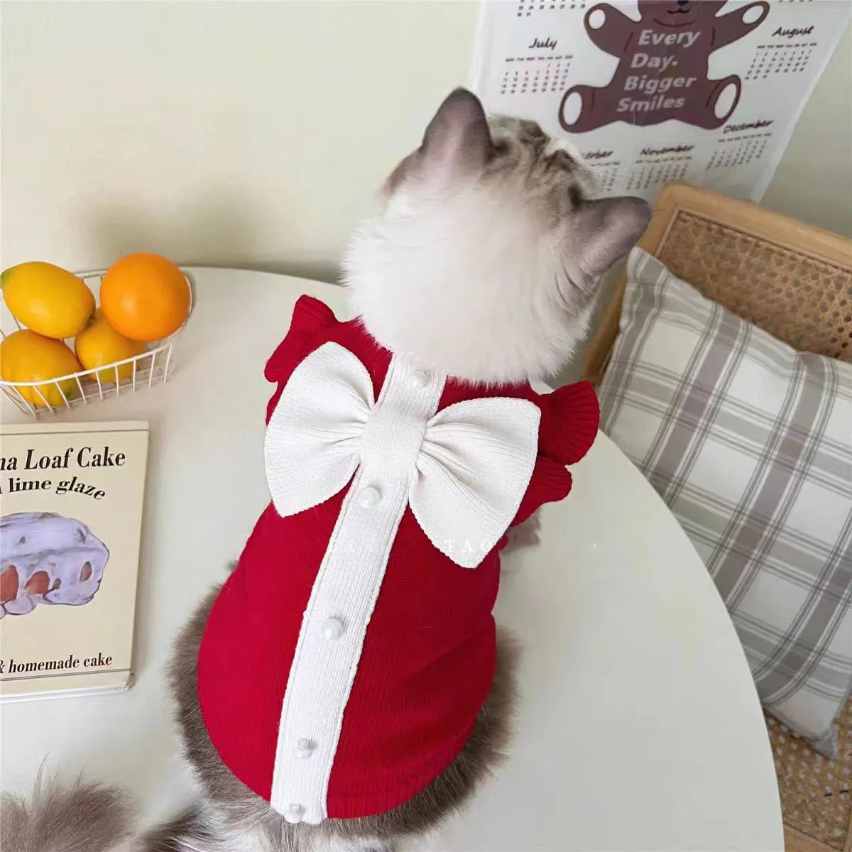 개 고양이 리본 공주 스웨터 - 새해 파티를 위한 따뜻한 겨울 애완동물 옷, 작은 개들을 위한 귀여운 축제 의상